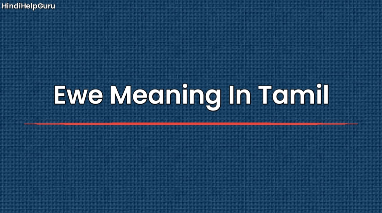 Ewe Meaning In Tamil