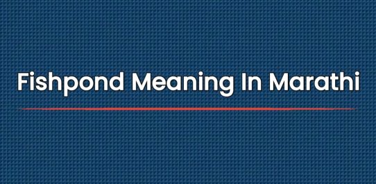 Umpire Call Meaning marathi-sentences-sentences-english-words-words