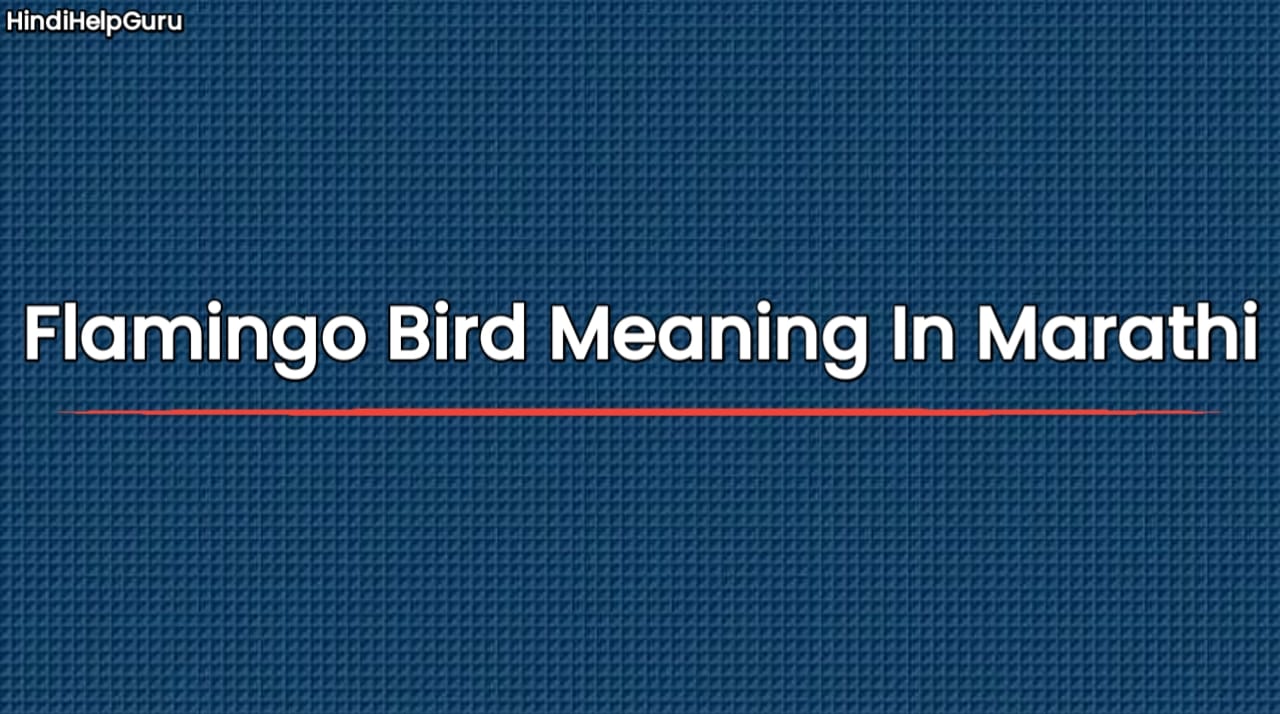 Flamingo Bird Meaning In Marathi