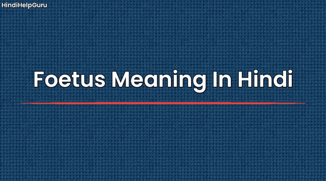 Foetus Meaning In Hindi
