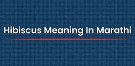 Hibiscus Meaning In Marathi | मराठीत अर्थ