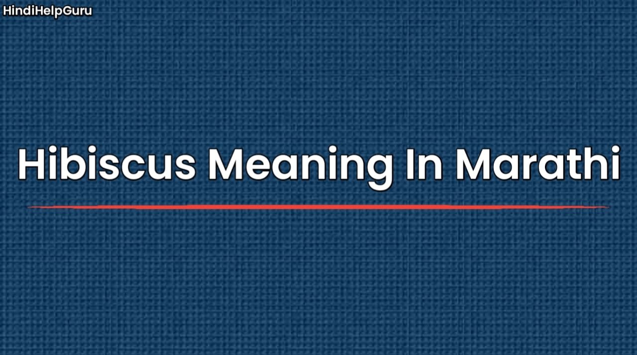 Hibiscus Meaning In Marathi