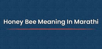 Honey Bee Meaning In Marathi