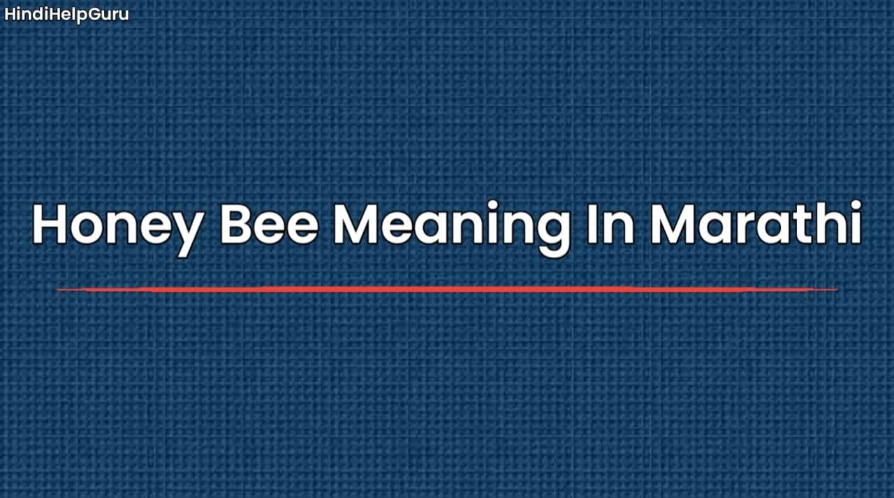 Honey Bee Meaning In Marathi