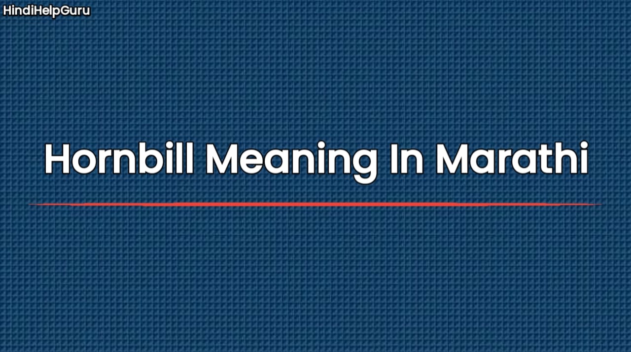 Hornbill Meaning In Marathi