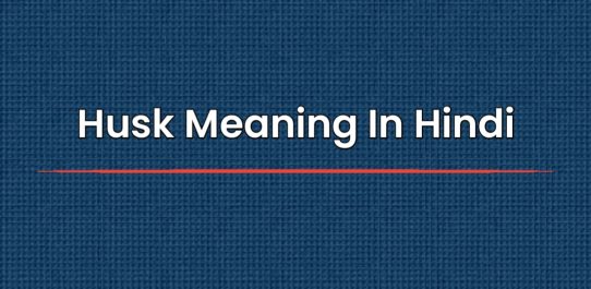Husk Meaning In Hindi