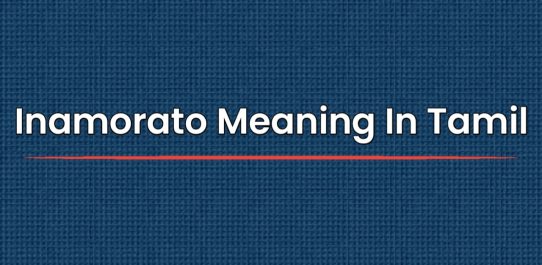 Inamorato Meaning In Tamil | தமிழில் அர்த்தம்