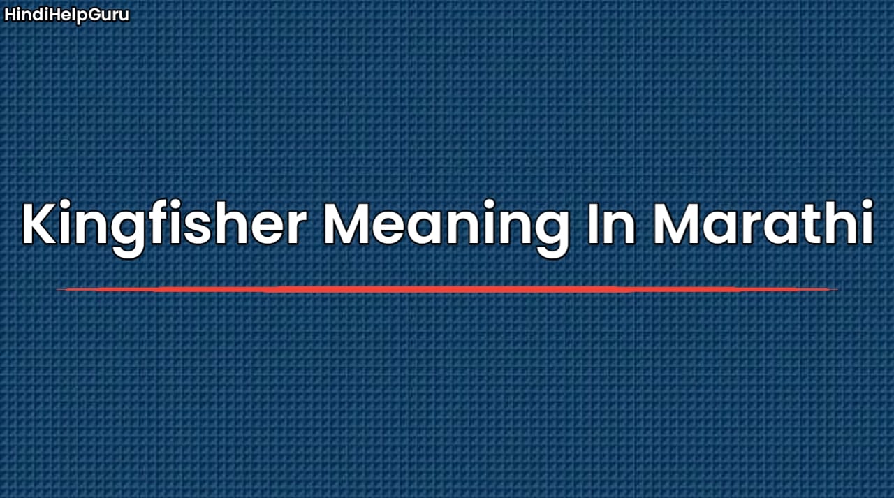 Kingfisher Meaning In Marathi