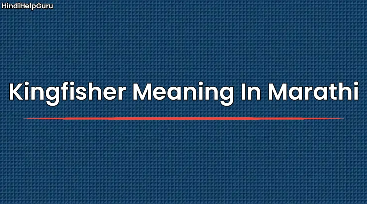 Kingfisher Meaning In Marathi