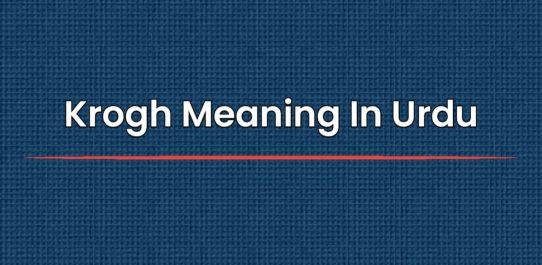 Krogh Meaning In Urdu | اردو میں معنی