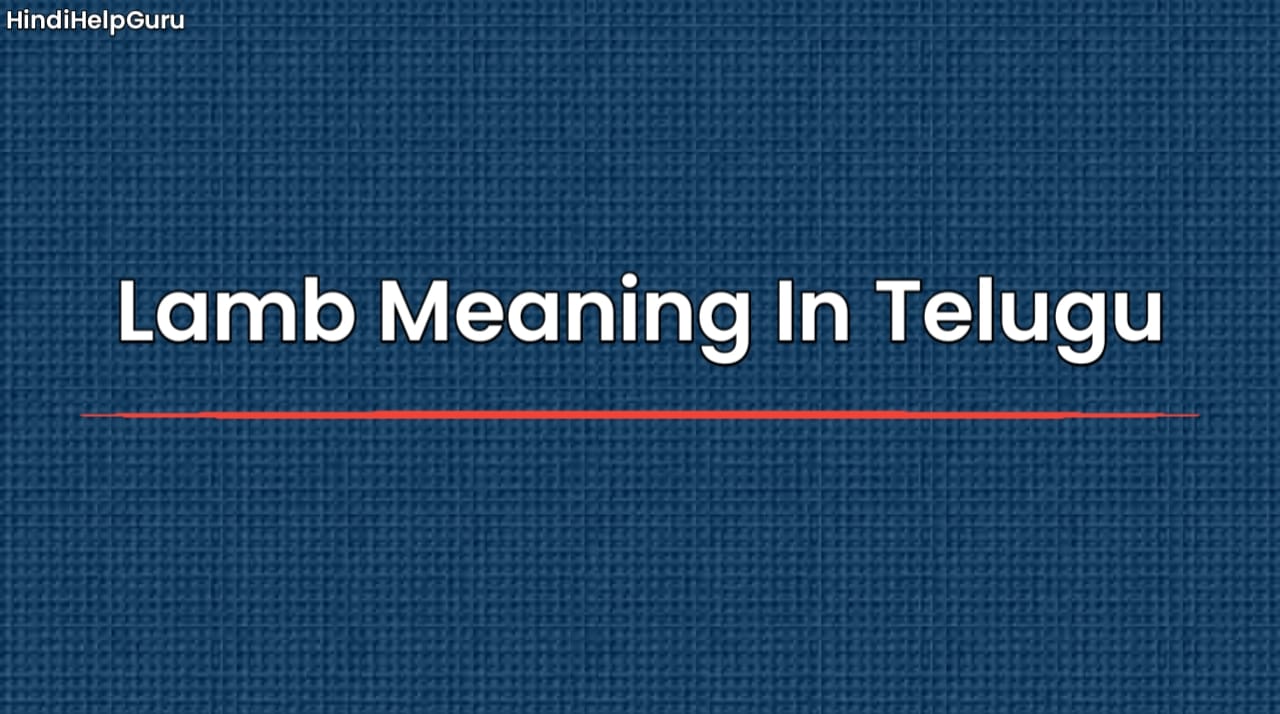 Lamb Meaning In Telugu
