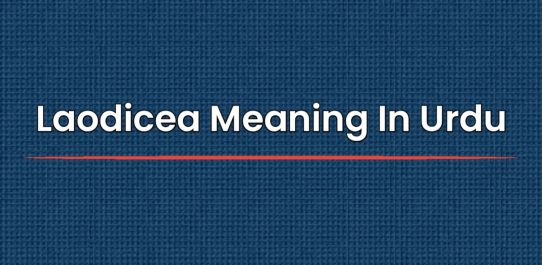 Laodicea Meaning In Urdu | لاؤڈیسیا کا اردو میں معنی
