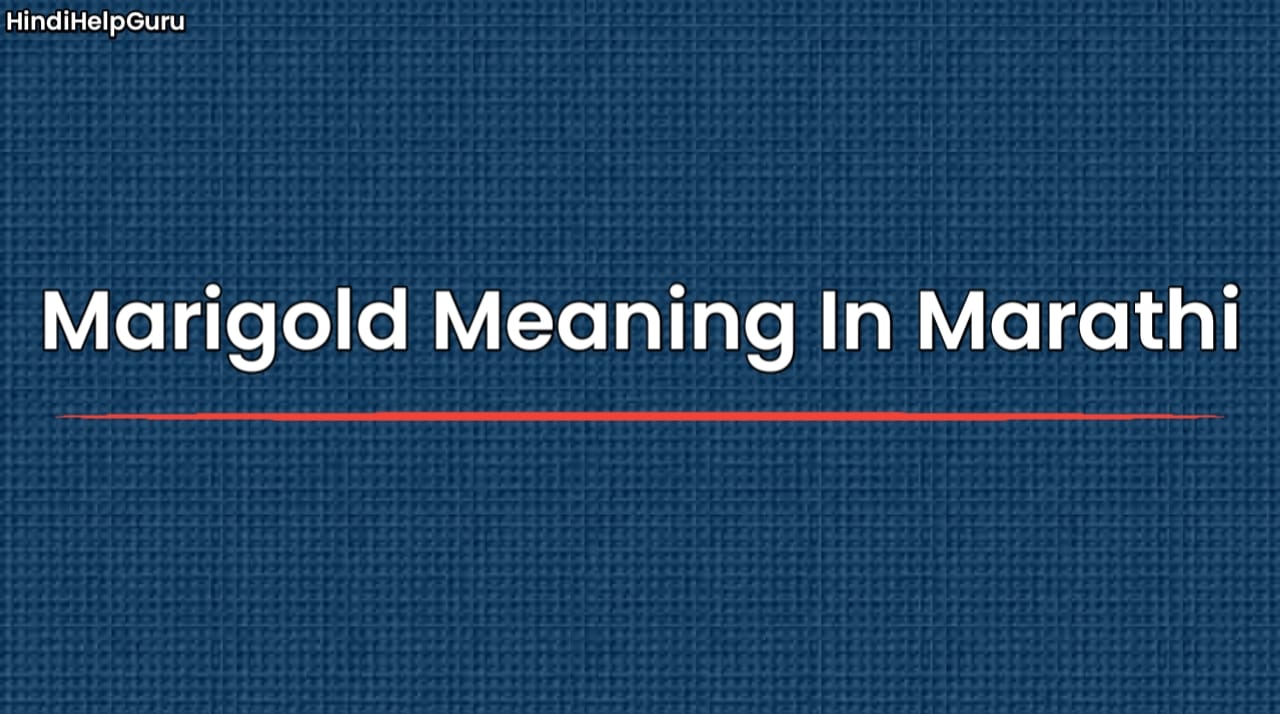 Marigold Meaning In Marathi