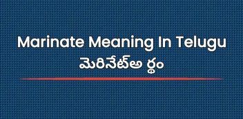 Marinate Meaning In Telugu | మెరినేట్అ ర్థం