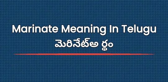 Marinate Meaning In Telugu | మెరినేట్అ ర్థం