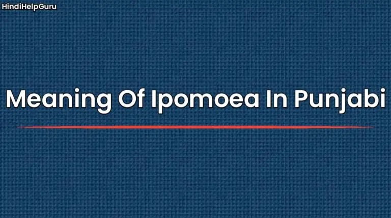 meaning-of-ipomoea-in-punjabi