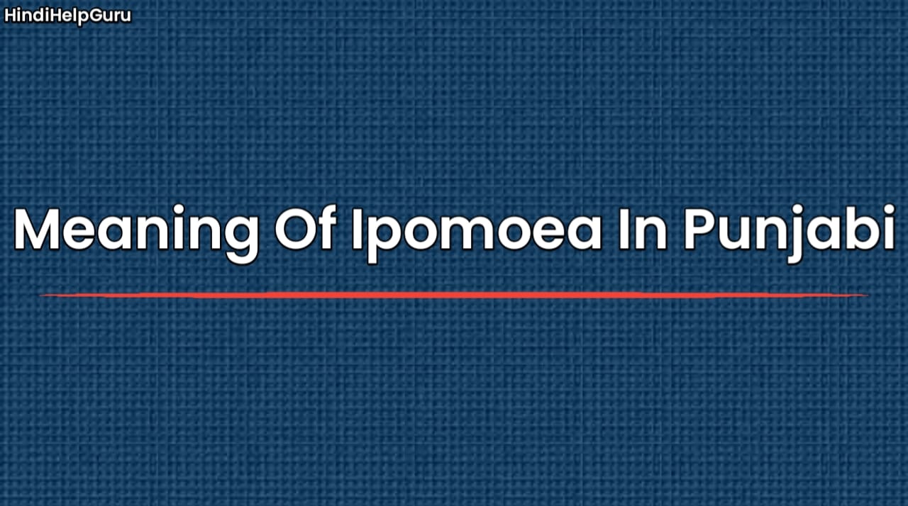 Meaning Of Ipomoea In Punjabi