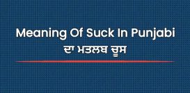 Meaning Of Suck In Punjabi | ਦਾ ਮਤਲਬ ਚੂਸ