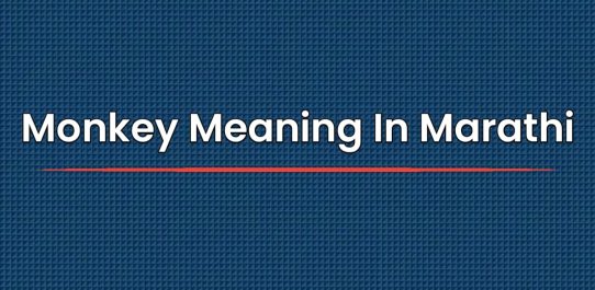 Monkey Meaning In Marathi | मराठीत अर्थ