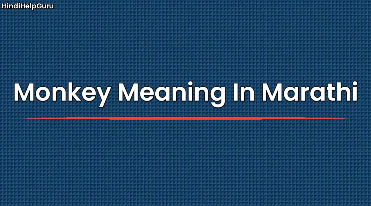 Monkey Meaning In Marathi