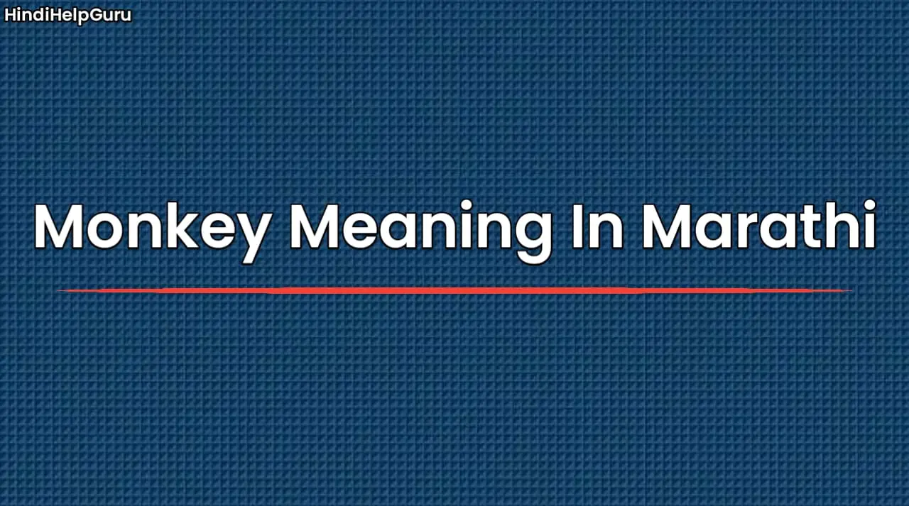 Monkey Meaning In Marathi