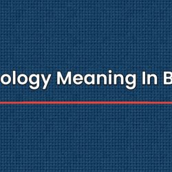 Morphology Meaning In Bengali