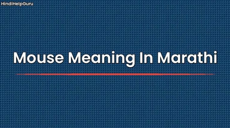 Mouse Meaning In Marathi mouse-meaning-in-marathi