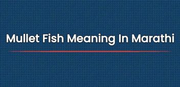 Mullet Fish Meaning In Marathi | मुलेट फिश चा मराठीत अर्थ