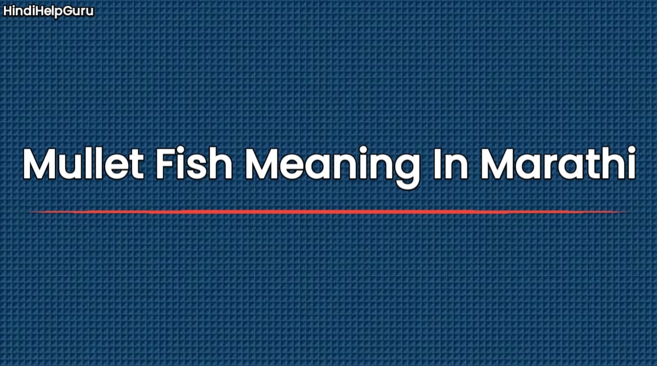 Mullet Fish Meaning In Marathi