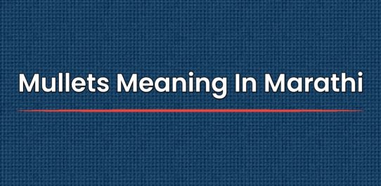 Mullets Meaning In Marathi | मुलेटचा मराठीत अर्थ