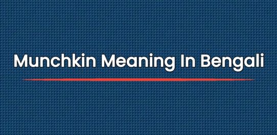 Munchkin Meaning In Bengali | বাংলায় মুঞ্চকিন অর্থ