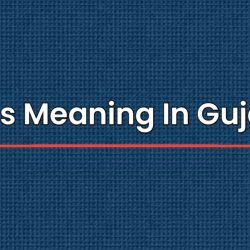 NGOs Meaning In Gujarati