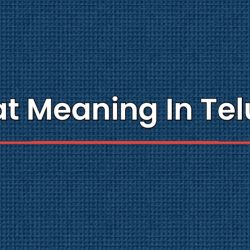 Neat Meaning In Telugu