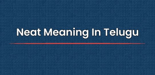 Neat Meaning In Telugu | తెలుగులో నీట్ అర్థం