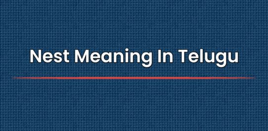Nest Meaning In Telugu | తెలుగులో నెస్ట్ అర్థం