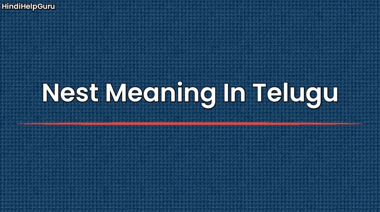 Nest Meaning In Telugu