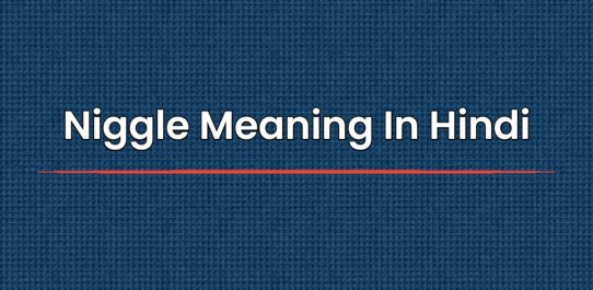 Niggle Meaning In Hindi | निगल का हिंदी में मतलब