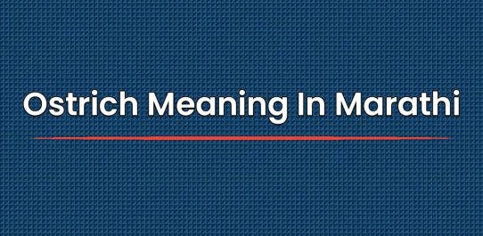 Ostrich Meaning In Marathi | Ostrich चा मराठीत अर्थ