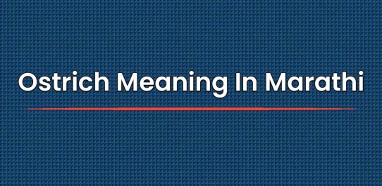 Unveiled Meaning
