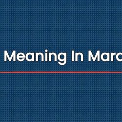 PSI Meaning In Marathi