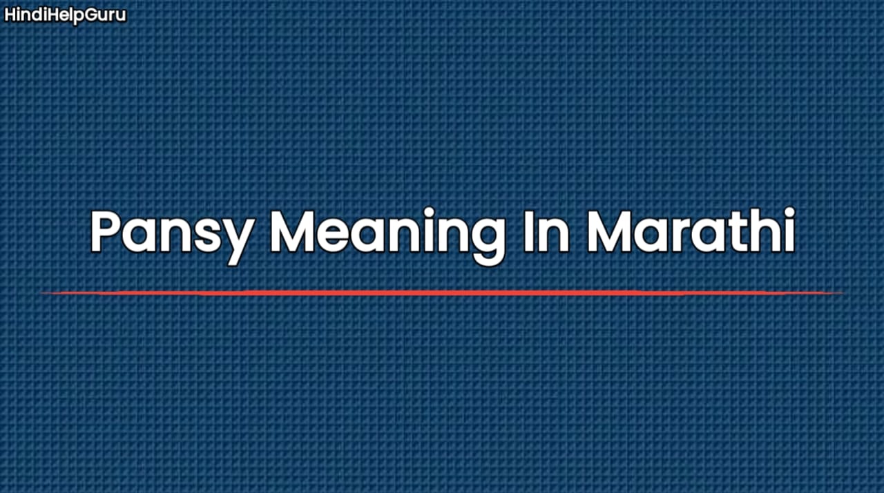 Pansy Meaning In Marathi