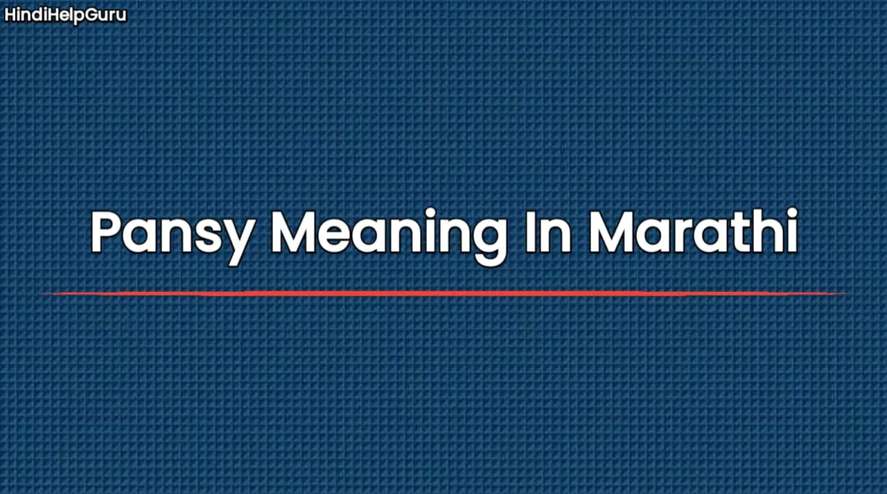 Pansy Meaning In Marathi