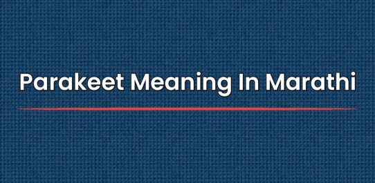 Parakeet Meaning In Marathi