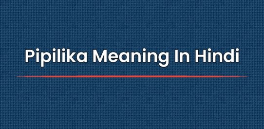 Pipilika Meaning In Hindi | पिपीलिका का हिंदी में मतलब