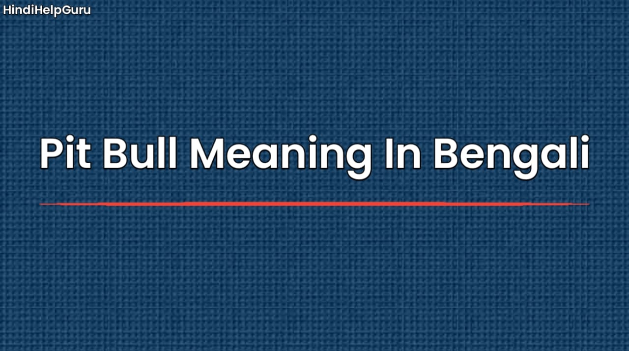 Pit Bull Meaning In Bengali