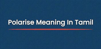 Polarise Meaning In Tamil | தமிழில் அர்த்தம்