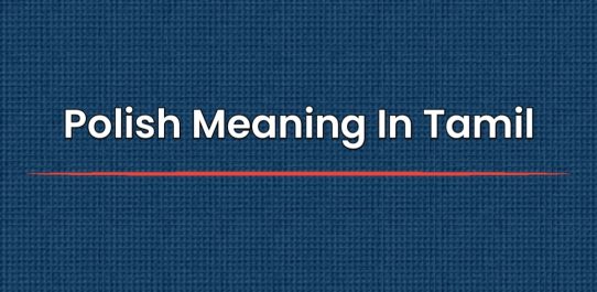 Polish Meaning In Tamil | தமிழில் போலிஷ் பொருள்