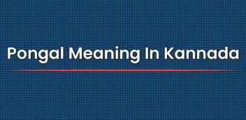 Pongal Meaning In Kannada | ಕನ್ನಡದಲ್ಲಿ ಪೊಂಗಲ್ ಅರ್ಥ