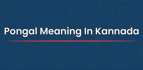 Pongal Meaning In Kannada | ಕನ್ನಡದಲ್ಲಿ ಪೊಂಗಲ್ ಅರ್ಥ