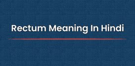 Rectum Meaning In Hindi | रेक्टम का मतलब